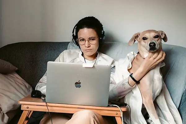 A woman sitting on a couch, stroking her dog as she uses a laptop.